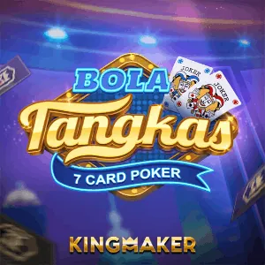 Texas Hold'em Poker